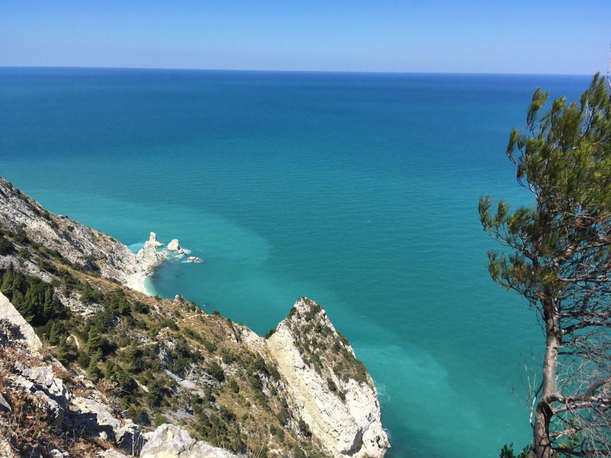 مبيت وإفطار سيرولو Tra Gli Alberi E Il Mare المظهر الخارجي الصورة