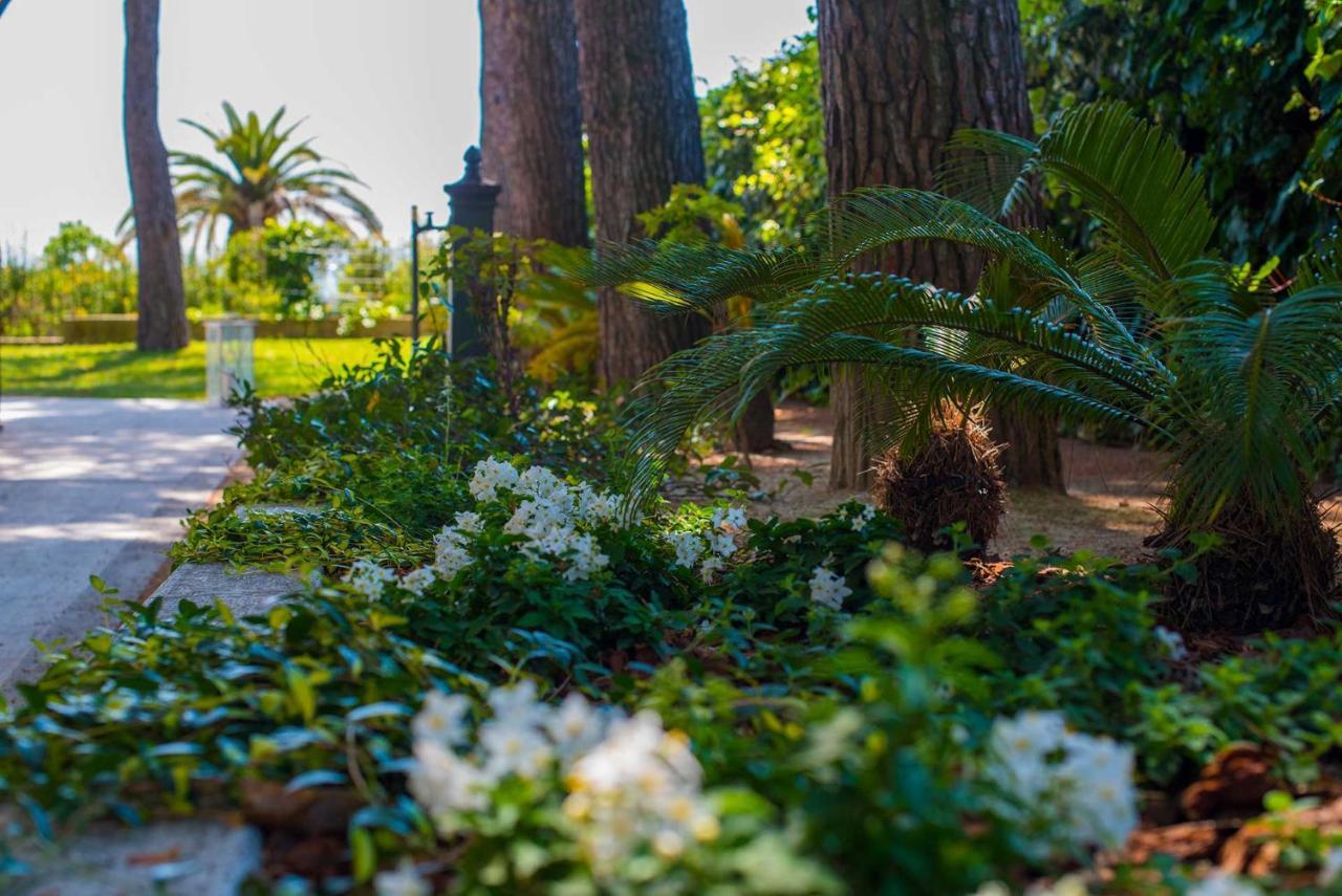 مبيت وإفطار سيرولو Tra Gli Alberi E Il Mare المظهر الخارجي الصورة
